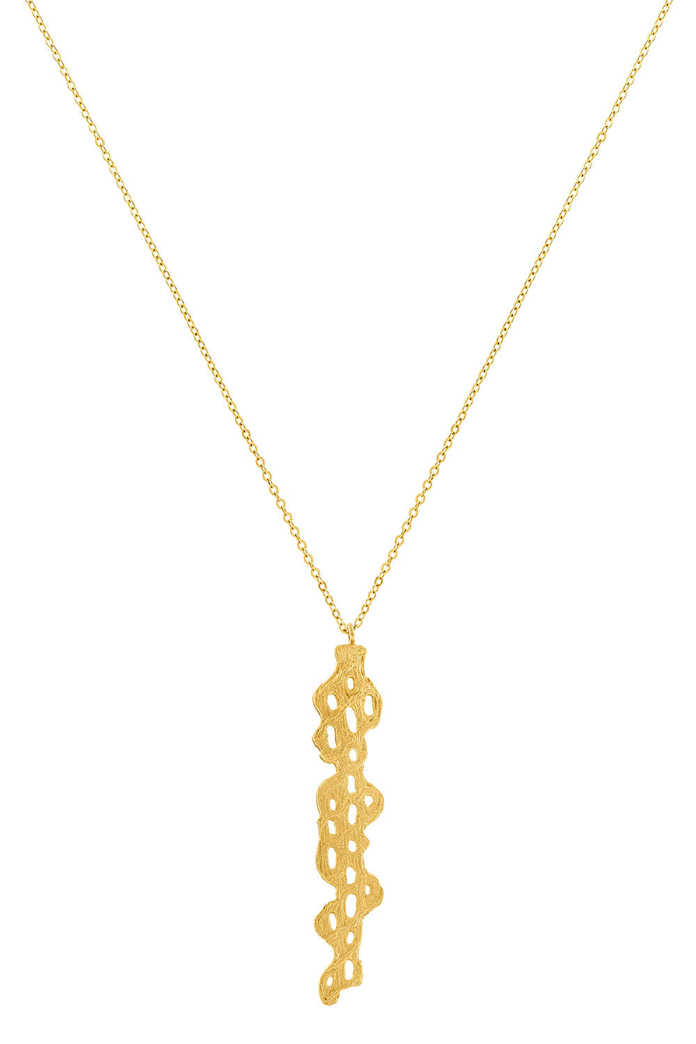 Necklace Cholla