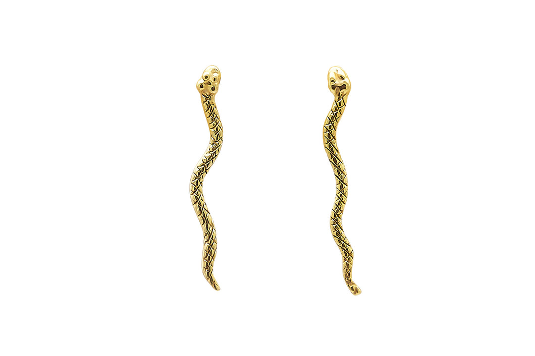 Earrings Mini Serpentine Rectos