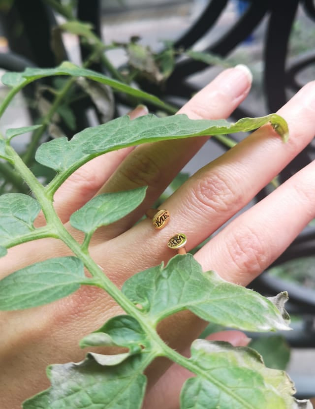 Ring MEWE - Sophie Simone Designs