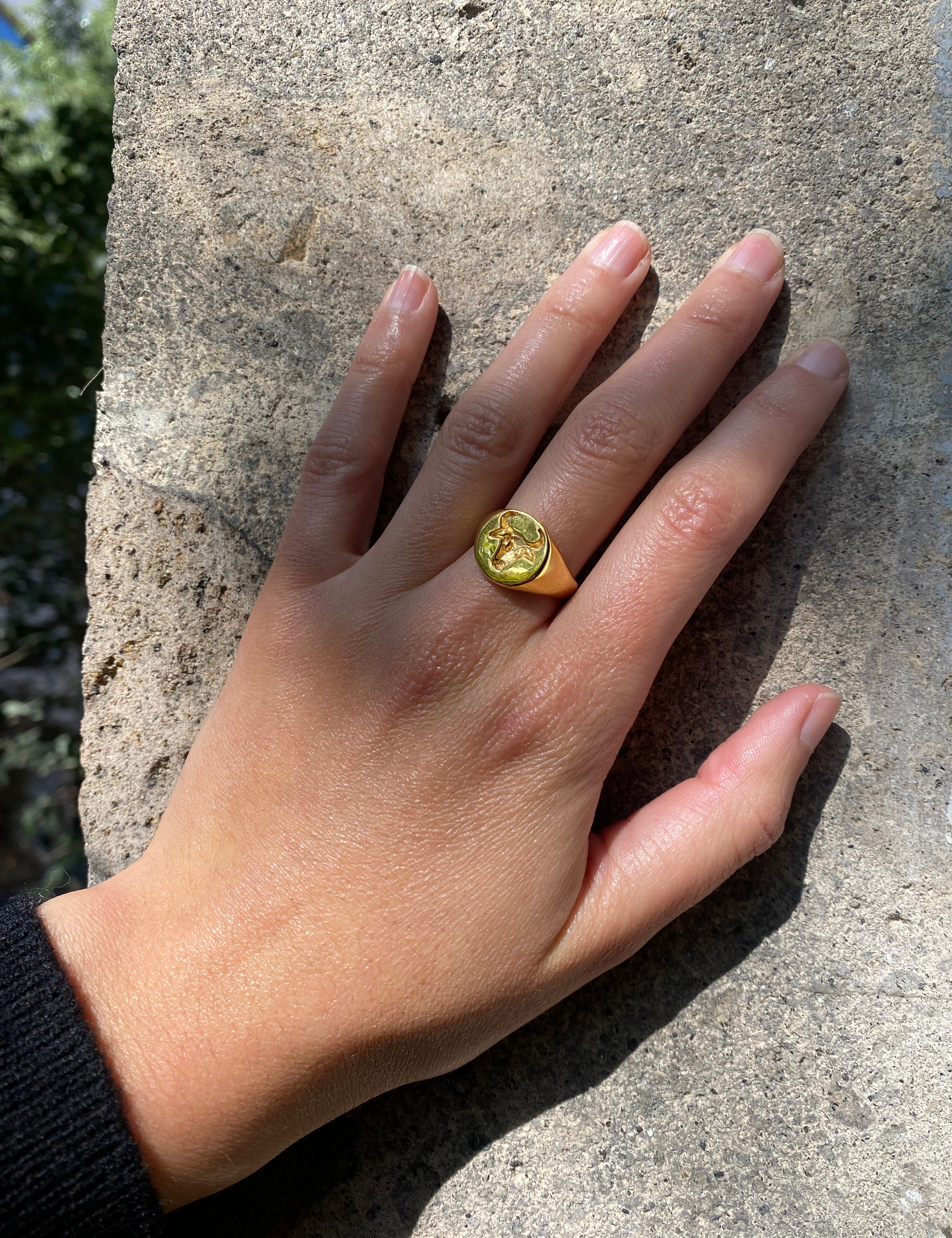 Ring Tauro Zodiac - Sophie Simone Designs